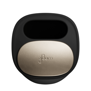 منظر علوي لصينية أعواد Ploom الكبيرة.